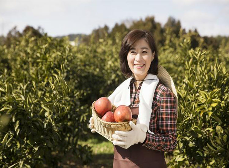 【潤(rùn)康】磨煤機(jī)磨輥與您分享：互聯(lián)網(wǎng)巨頭紛紛賣(mài)菜，農(nóng)民會(huì)不會(huì)被“割韭菜”？